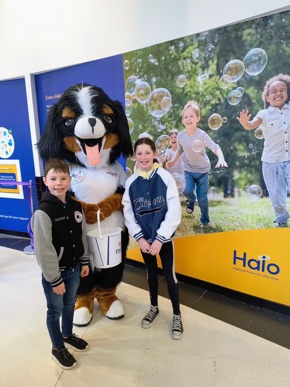 Halo Gallery